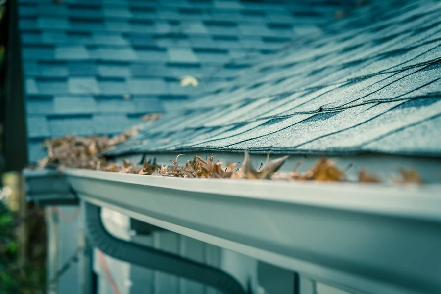 How Gutter Cleaning Service Improves Your Homes Drainage System in Cleveland, TX
